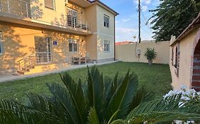 Vila Snezana